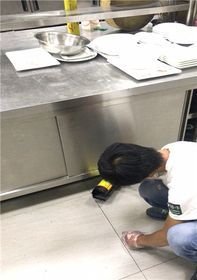 保定消灭蚂蚁【保定消毒公司】
